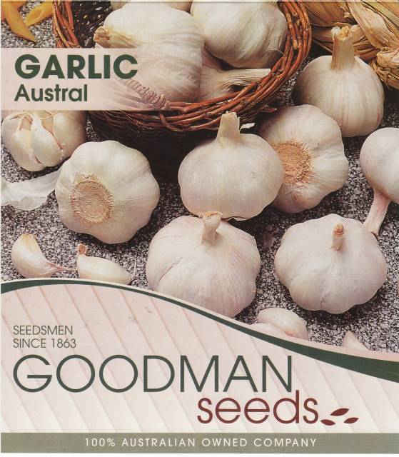 garlic9